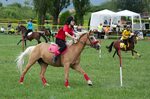 File:4ème manche du championnat suisse de Pony games 2013 - 